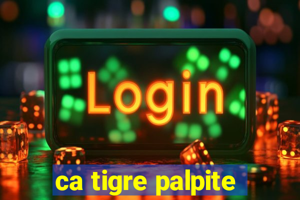 ca tigre palpite